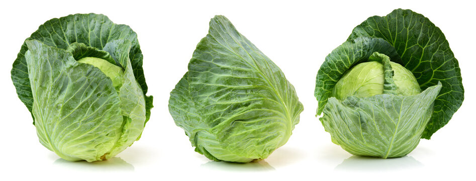 Green cabbage isolated on white background