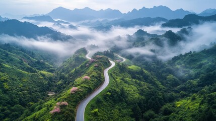 Misty winding road through green hills surrounded by vibrant cherry blossoms