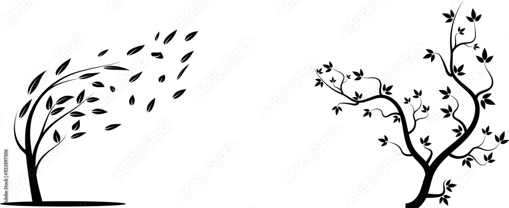 Poster tree branch vector ilustration design template