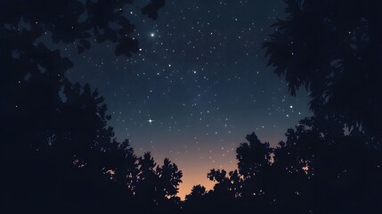 Naklejka premium Starry Night Sky Framed by Silhouetted Trees