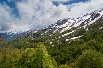Green foothills against the background of snow-capped peaks of the Caucasus Mountains on a sunny...