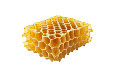 Empty Honeycomb Frame Ready for Harvest with Isolated Design with isolated on transparent background