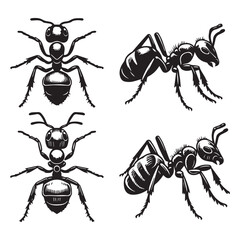 ant outline vector art black color.