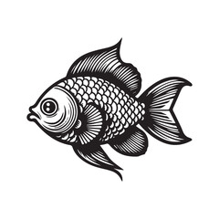 illustration of fish