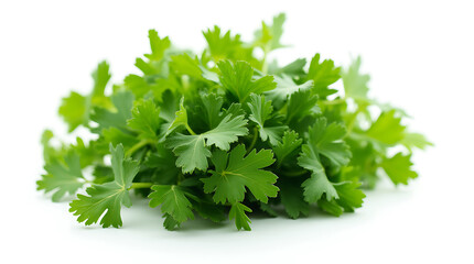 fresh parsley isolated on white background