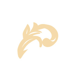 Ornament illustration