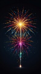 Obraz premium fireworks on the night sky