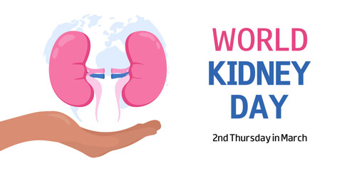 World Kidney Day concept medical background, poster, banner. 2nd Thursday in March. Vector illustration of kidney, woman hand, text, world map silhouette. 