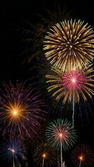 fireworks in the night sky