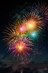 fireworks in the night sky