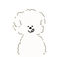 ビションフリーゼ　顔
