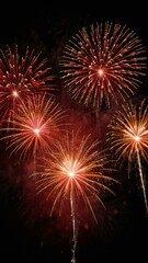 Fototapeta premium fireworks in the night sky