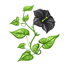 Black Flower with Green Leaves and Twisting Vines Illustration