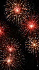 Fototapeta premium fireworks in the night sky