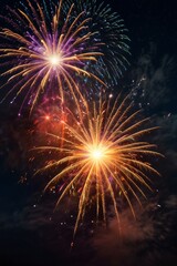 fireworks in the night sky