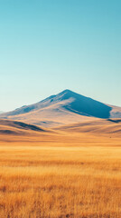 Obraz premium Golden grassland landscape with distant mountain under clear blue sky