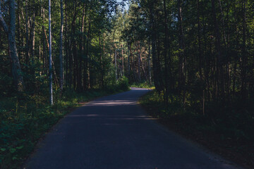 Obraz premium A quiet, empty road winds through a dense forest, illuminated by soft evening light, creating a peaceful and scenic pathway surrounded by lush greenery