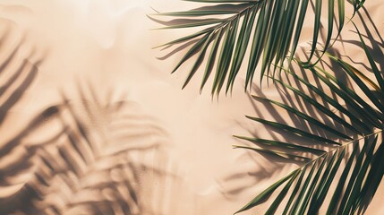 Obraz premium Palm leaves with shadow cast on a beige background.