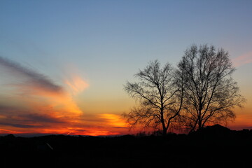 Beautiful magical landscape image with trees silhouette at sunset.	
