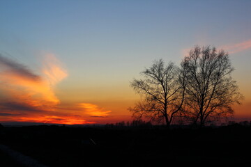 Beautiful magical landscape image with trees silhouette at sunset.	
