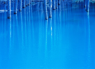 ブルー沼（美瑛町）