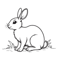 rabbit and carrot line art on white background 