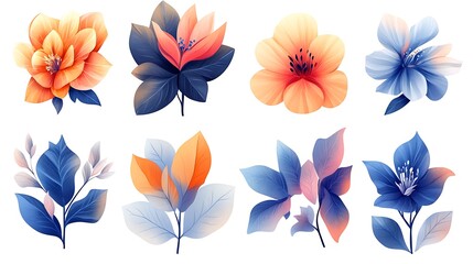 Floral elements set with various flowers pattern background