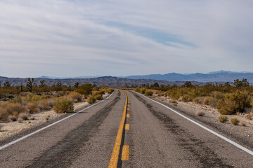 Cima volcanic field. Kelbaker Road, Mojave National Preserve. San Bernardino County, California. Mojave Desert / Basin and Range Province.