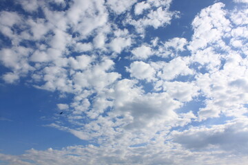 Obraz premium sky(하늘)