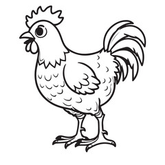Hen line art on white background