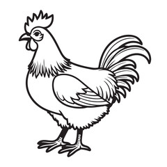 Hen line art on white background