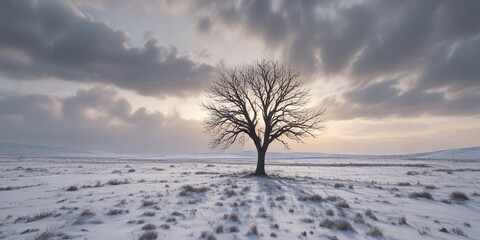 A lone bare tree in a vast expanse of snowy fields under a gray winter sky , winter, field
