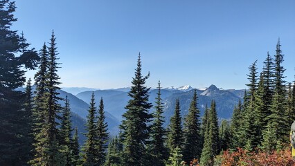 Mount raineer trail