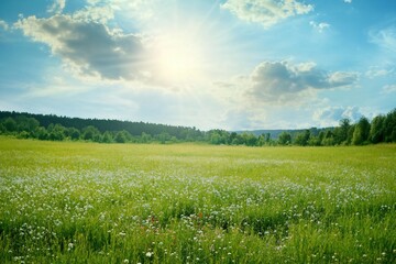 Green meadow under blue sky with clouds