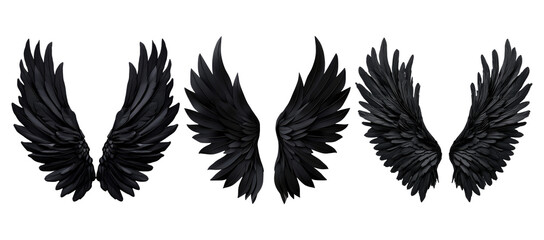 Obraz premium Set of Black angel wings, detailed set isolated on transparent background