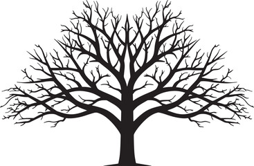 Obraz premium Tree without leaves vector silhouette illustration