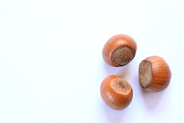 Three hazelnuts on clear background.