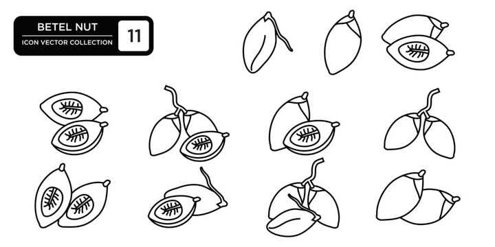 Collection of betel nut icons, editable and resizable vector icon templates.