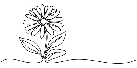 One continuous line drawing. Printable decorative poster common daisy flower concept chamomile, Daisy flower in continuous line art drawing style. Chamomile One line drawing art. Minimalist black line
