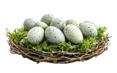 Obraz premium A Nest Filled with Eggs isolated on transparent Background