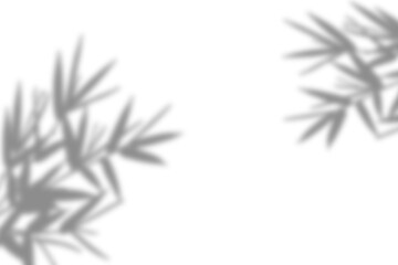 Bamboo Leaves Shadow On Transparent Background Png