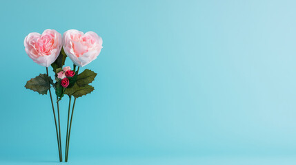 Fototapeta premium Beautiful pink flowers with green leaves on blue background