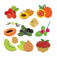 A Diverse Selection of Delicious Fresh Fruits