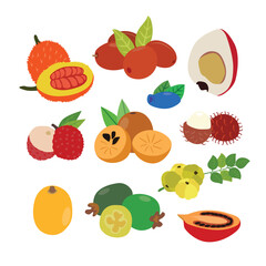 Tropical and Seasonal Fruit Collection