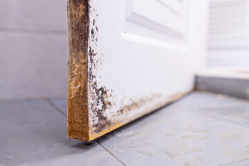 Black mold stains on the door of bathroom,dirty black deep stains,drying mark,stubborn stains of fungus,bacteria on uPVC door in toilet at home,cleaning problems,housekeeping,house maintenance concept