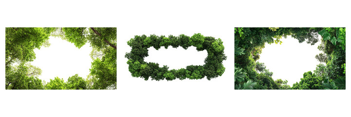 Obraz premium Set of lush forested trees frame isolated on a transparent background