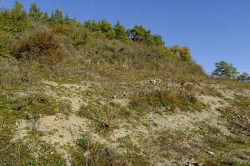 Weinberge bei Thüngersheim, Landkreis Main-Spessart, Unterfranken, Bayern, Deutschland