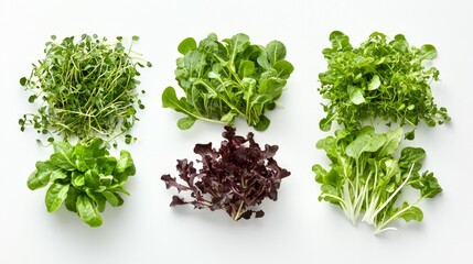 Obraz premium Nutritional benefits of fresh greens kitchen infographic bright informative