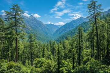 Fototapeta premium Serene Mountain Landscape with Lush Green Forests