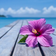 Summer vibes: Hibiscus on a pier